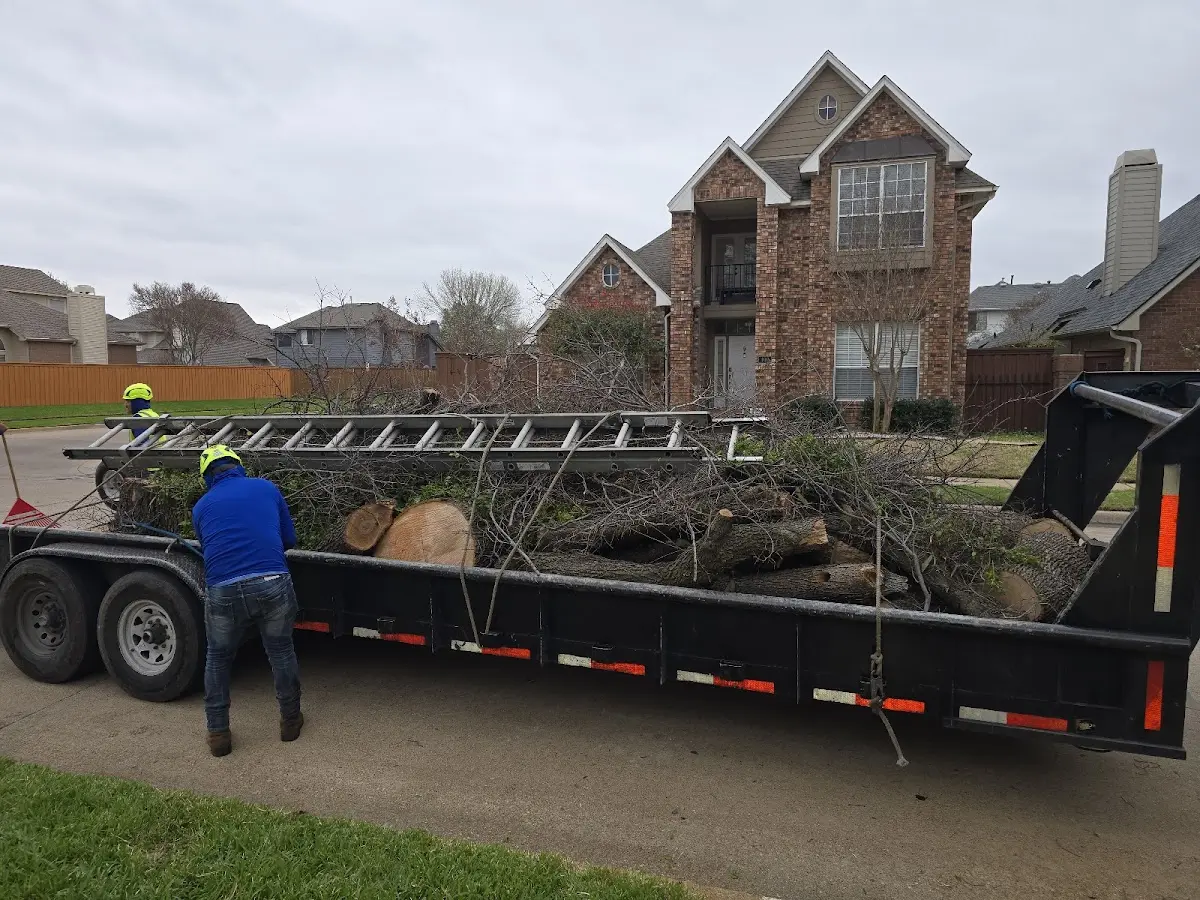 Expert Tree Fertilization with proper safety equipment in Yankton
